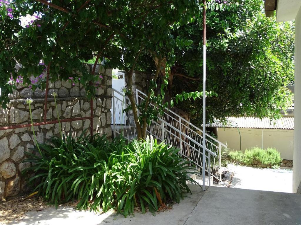 Apartments Losinj 木洛希尼 外观 照片